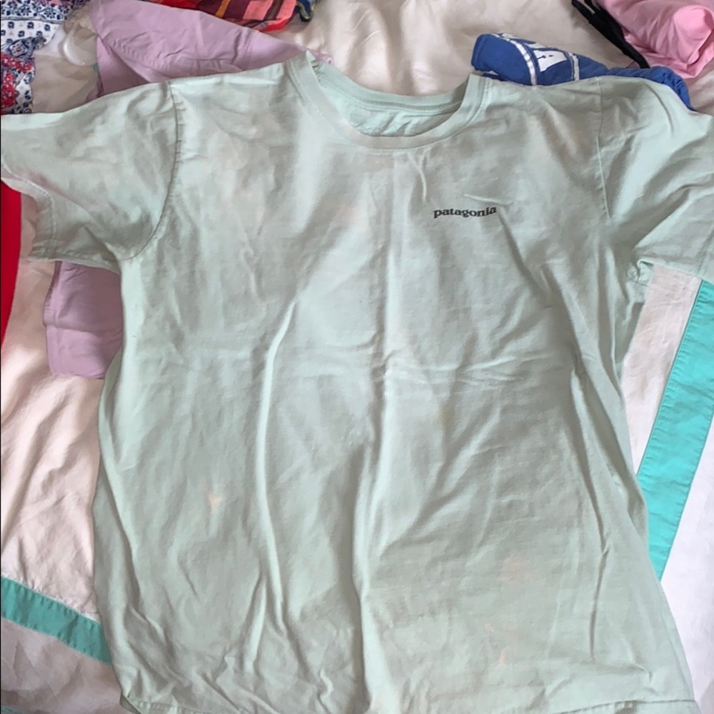 Patagonia t-shirt